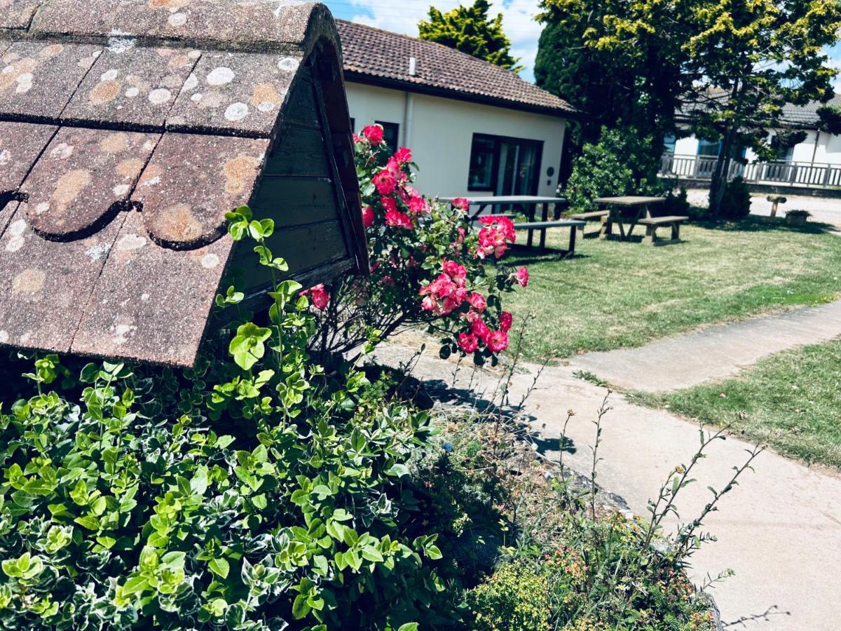 Kinetic Stays - Serenity Holiday Cottages Sidmouth Luaran gambar